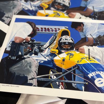 Damon Hill Williams Racing 1993 F1 Limited Art Print by James Stevens